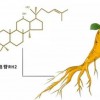 人参皂苷Rg3生产厂家